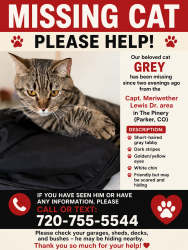 Reunited Male Cat last seen The Pinery, Parker, CO 80134