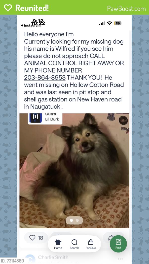 Reunited Male Dog last seen Southbury dog park, Southbury, CT 06488