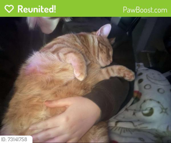 Reunited Male Cat last seen Ellerslie Rd SW, Grace Point Church, Edmonton, AB T6X 0N4