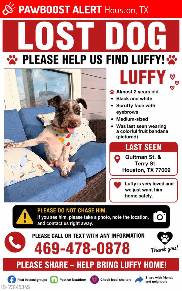 Lost Male Dog last seen Quitman, Houston, TX 77026