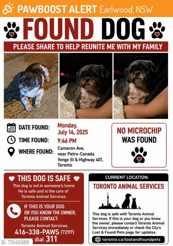 Found/Stray Male Dog last seen Near Cameron Ave, North York, Ontario, Earlwood, NSW 2206