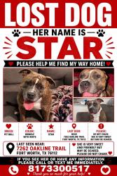Lost Female Dog last seen Near oak line trail, Fort Worth, TX 76112