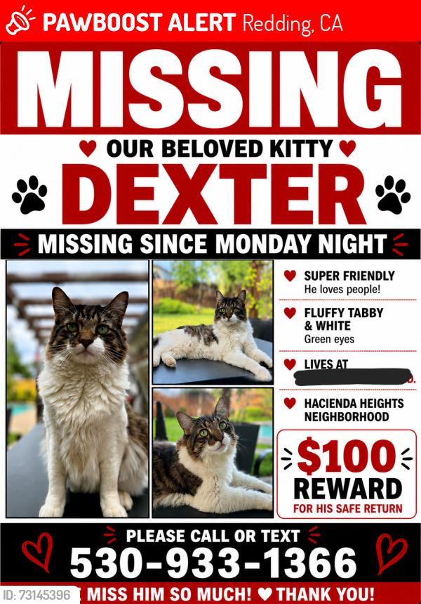 Lost Male Cat last seen Hacienda street redding, Redding, CA 96003
