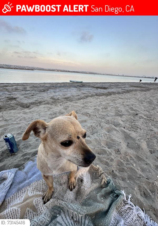 Lost Male Dog last seen Crown point, San Diego, CA 92117