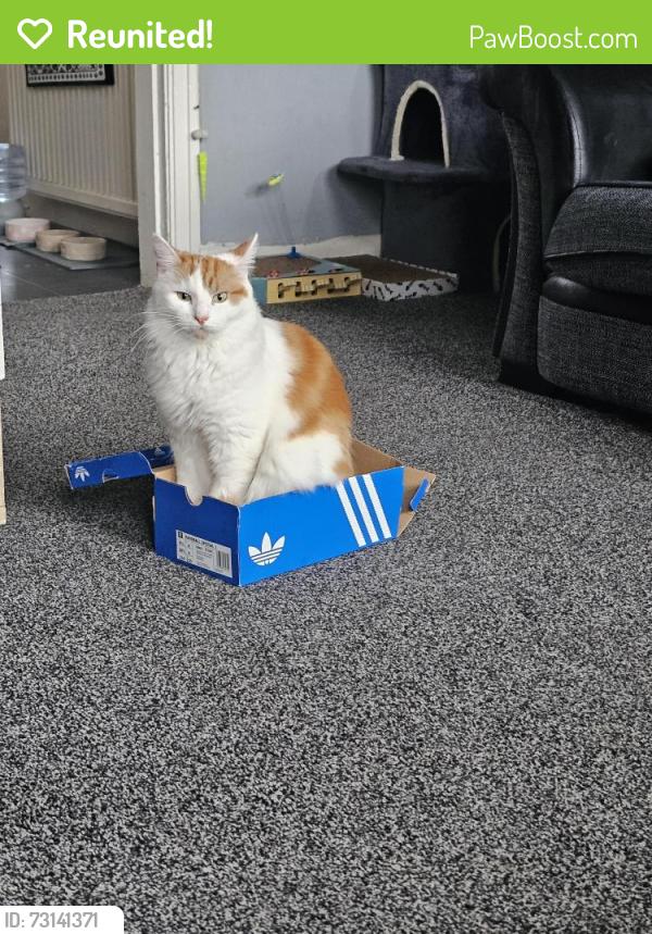 Reunited Male Cat last seen Hartley brook shops, South Yorkshire, England 