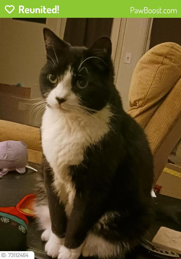 Reunited Male Cat last seen North Steet. Center street., Ballston Spa, NY 12020