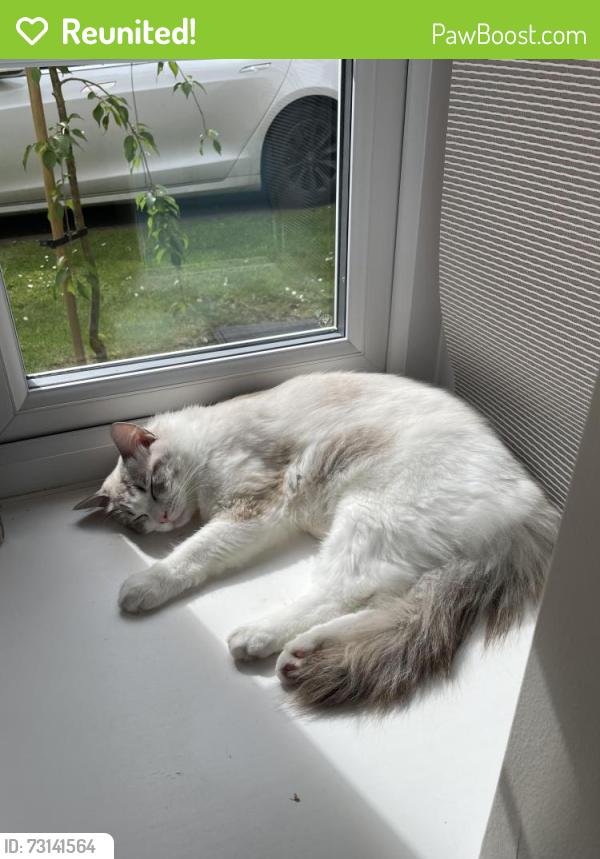 Reunited Male Cat last seen Wedgewood Cricket Ground, Stoke-on-Trent, England ST12 9BF