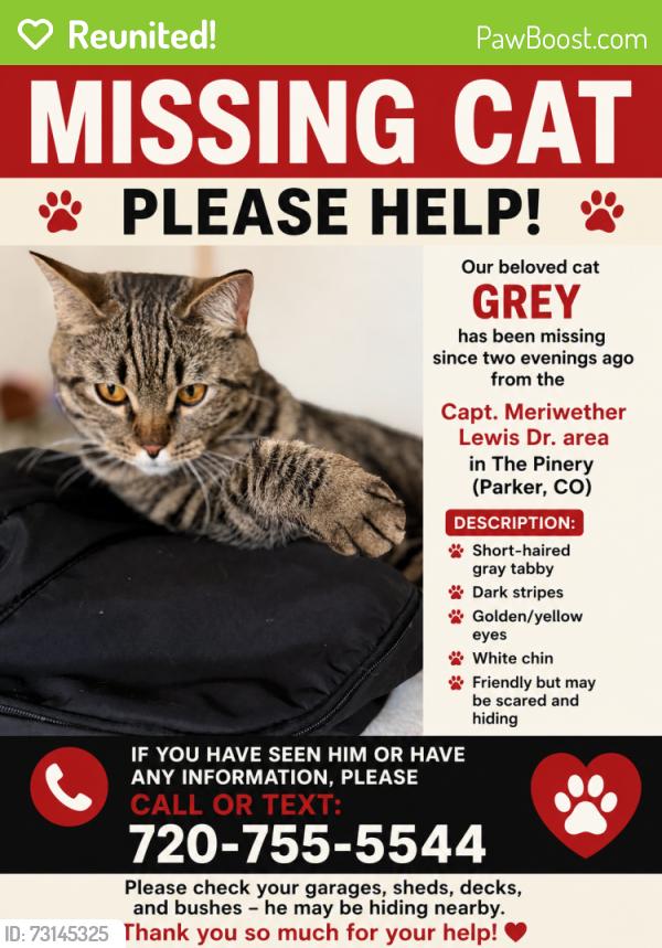 Reunited Male Cat last seen The Pinery, Parker, CO 80134