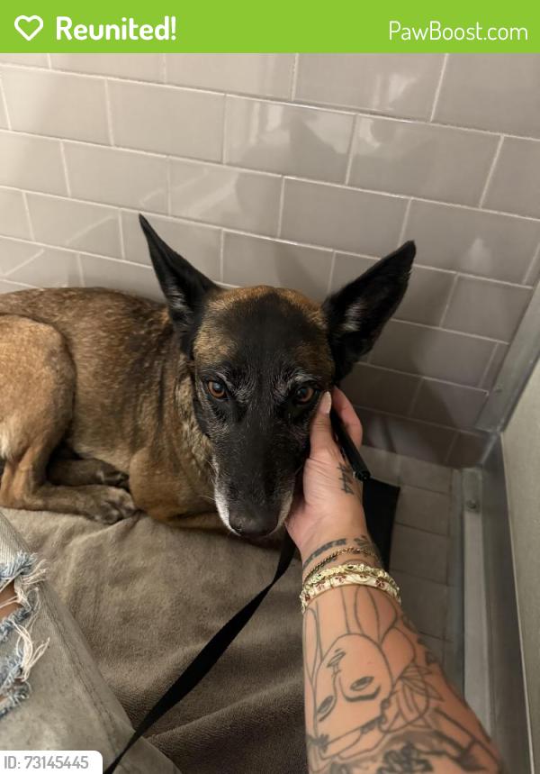Reunited Unknown Dog last seen Recreation Center Idaho St, San Diego, CA 92104
