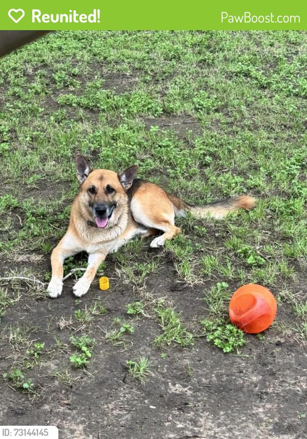 Reunited Male Dog last seen Leal street, San Antonio, TX 78221