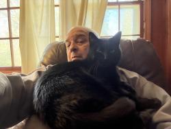 Lost Male Cat last seen RIver Valley/Johnson Ferry Road, Sandy Springs, GA 30328