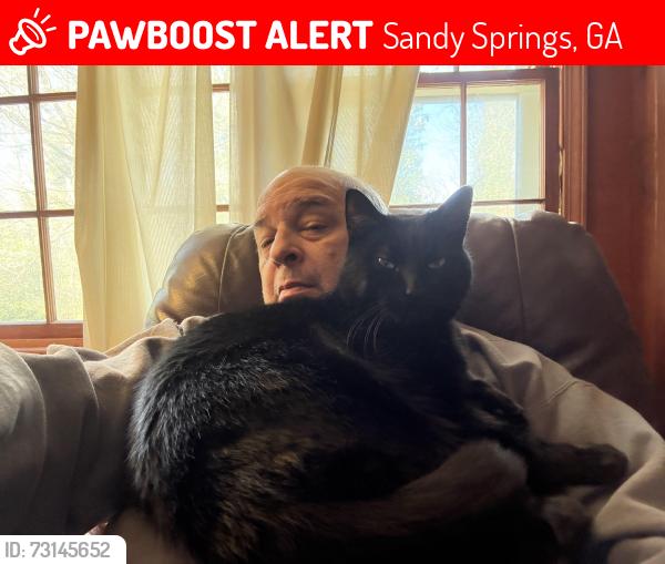 Lost Male Cat last seen RIver Valley/Johnson Ferry Road, Sandy Springs, GA 30328