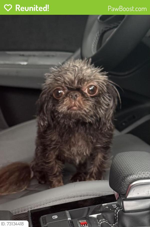 Reunited Unknown Dog last seen Mattix Ave and Sea Ranch Dr, Hudson, FL 34667