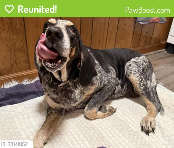 Reunited Female Dog last seen Alberta and Wilkinson, Belmont, NC 28012