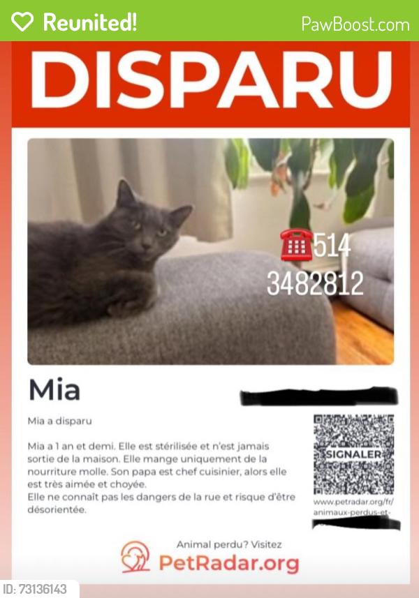Reunited Female Cat last seen Lasale, Montréal, QC 
