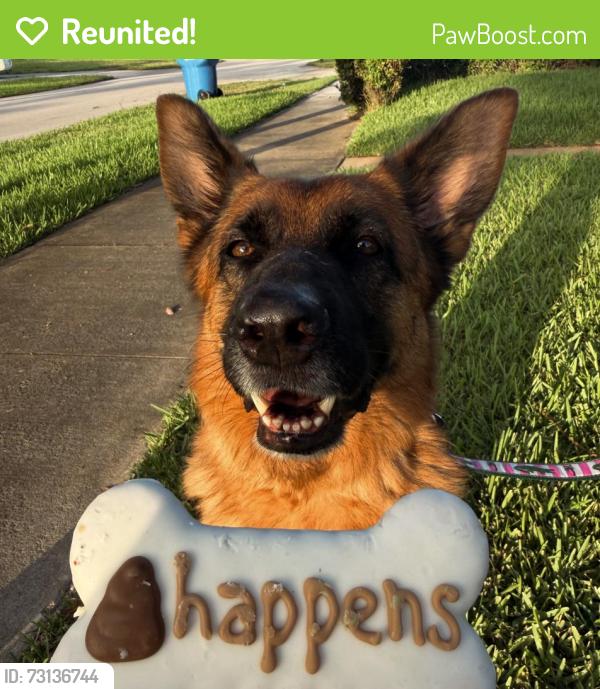 Reunited Female Dog last seen S 14th St, Lantana, FL 33462, Lantana, FL 33462