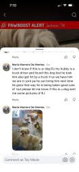 Lost Male Dog last seen Jackson, TN, Jackson, TN 38305