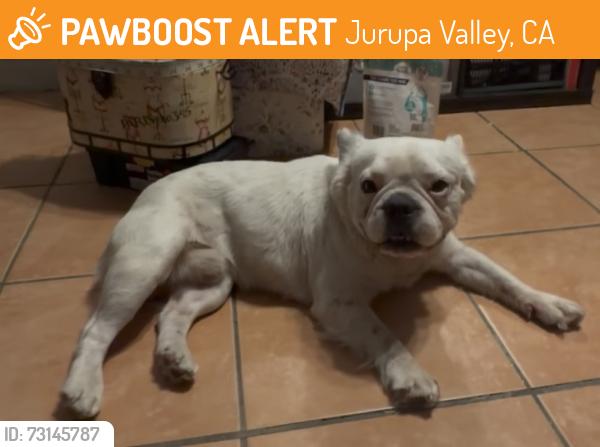 Found/Stray Male Dog last seen N/A, Jurupa Valley, CA 91752