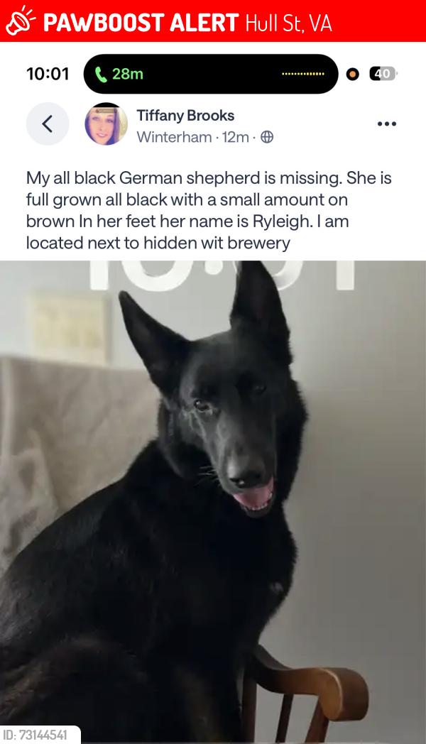 Lost Female Dog last seen Skinquarter market Moseley Va, Hull St, VA 23112