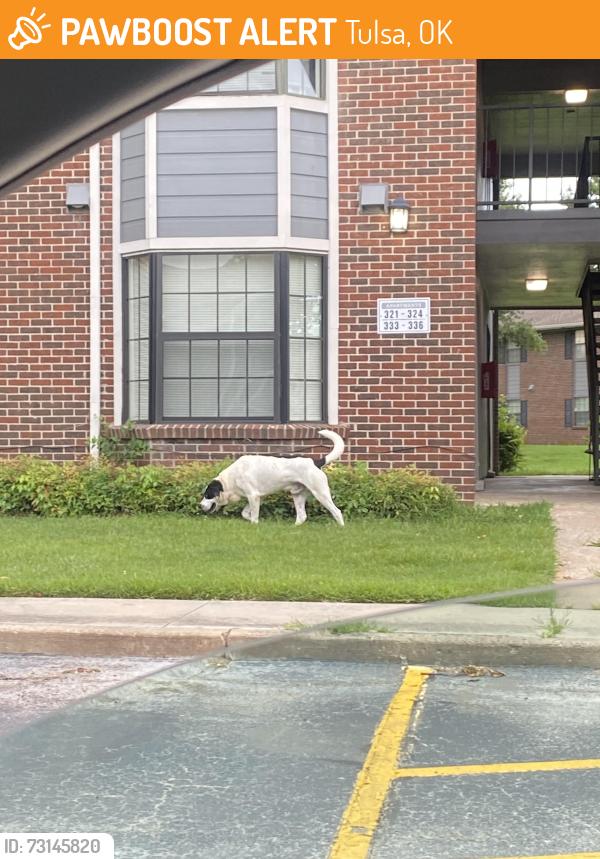 Found/Stray Unknown Dog last seen In the Greens of Bedford, Tulsa, OK 74133