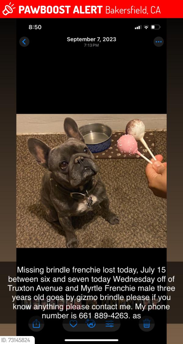 Lost Male Dog last seen Near Truxtun Ave n Myrtle Ave, Bakersfield, CA 93301