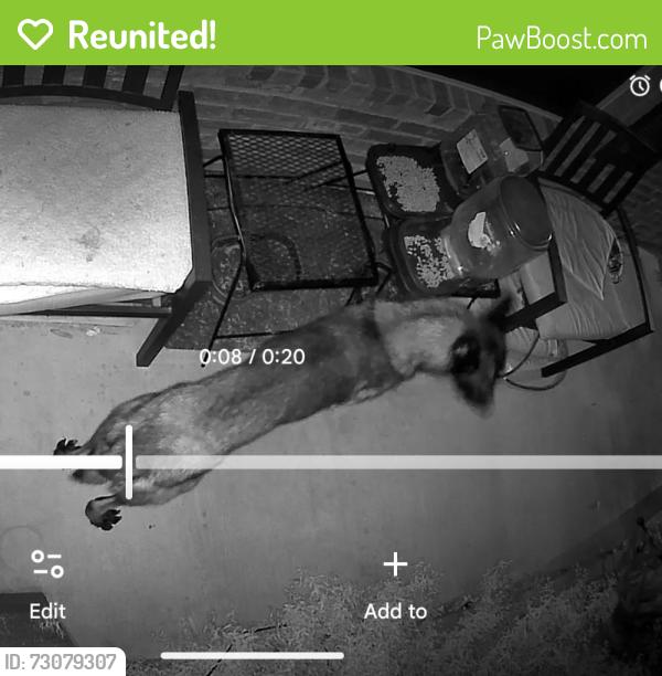 Reunited Unknown Dog last seen Brighton and Oxford Court Springtown, Parker County, TX 76082