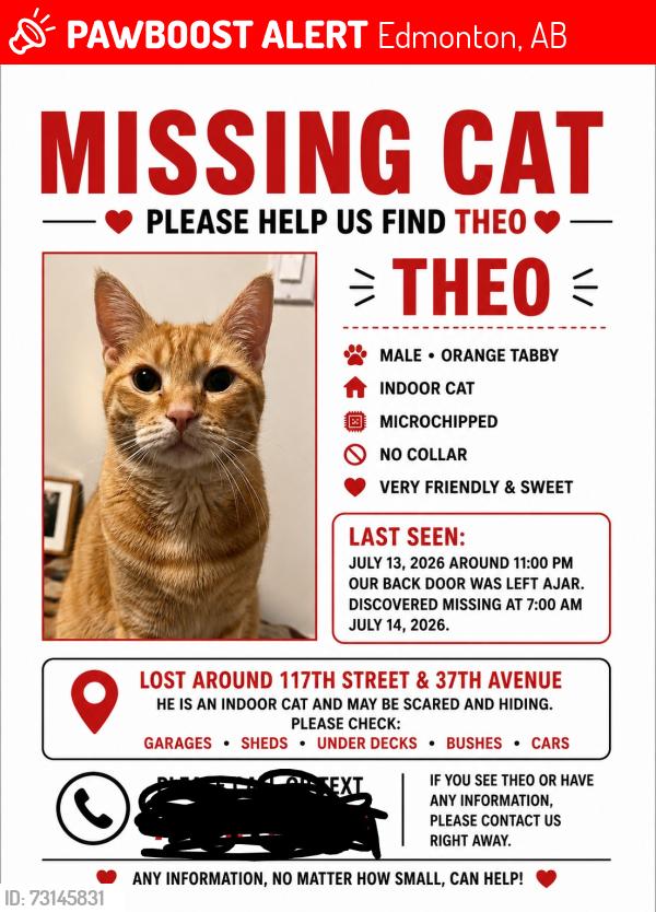 Lost Male Cat last seen Greenfield, Edmonton, AB 