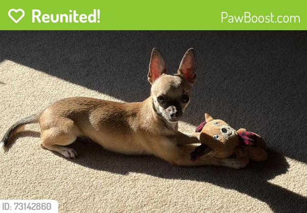 Reunited Male Dog last seen Near Miami Avenue, Milford, OH 45174