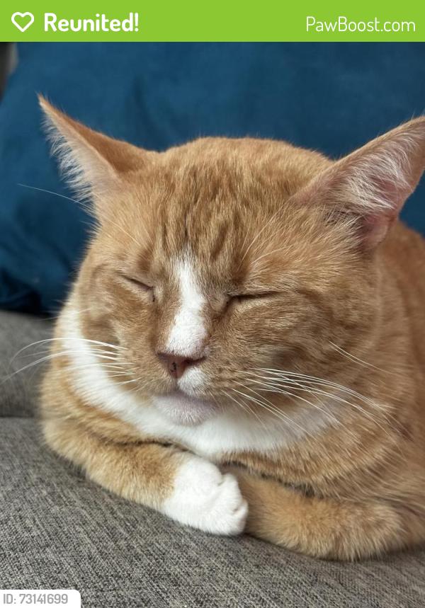 Reunited Male Cat last seen McDaniel Mill and Klondike, Conyers, GA 30094