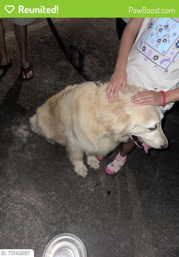 Reunited Female Dog last seen North landing and west neck, Virginia Beach, VA 23456