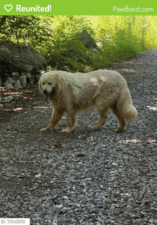 Reunited Unknown Dog last seen Bletchley Park Dr, Friendsville, TN 37737, USA, Friendsville, TN 37737