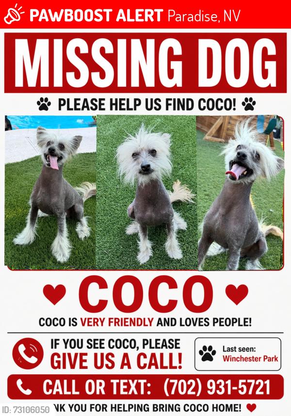 Lost Male Dog last seen Winchester Dondero Park, McLeod Dr/ Desert Inn/ Vegas Valley, Paradise, NV 89120
