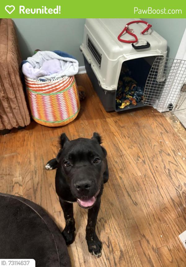 Reunited Unknown Dog last seen Near Cumberland Rd, Fayetteville, NC 28306, Fayetteville, NC 28306