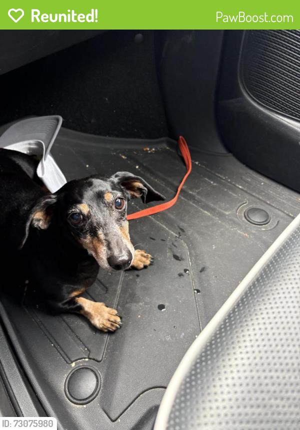 Reunited Unknown Dog last seen Bittersweet Drive, Fayetteville, NC 28306