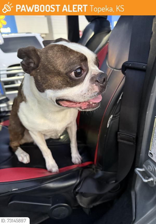 Found/Stray Male Dog last seen Walmart 37th Street, Topeka, KS 66611