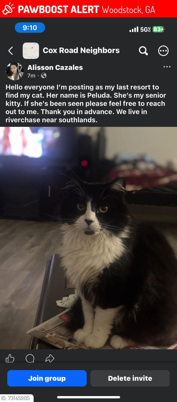 Lost Female Cat last seen Southlands / Riverchase dr, Woodstock, GA 30188