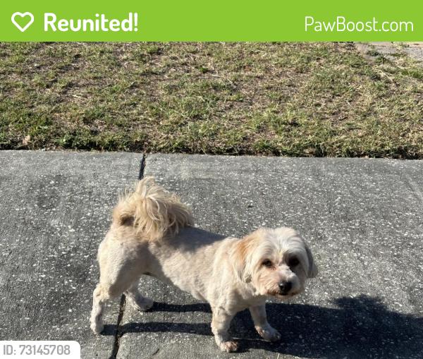 Reunited Female Dog last seen Near 92nd ave n, Pinellas Park, FL 33782