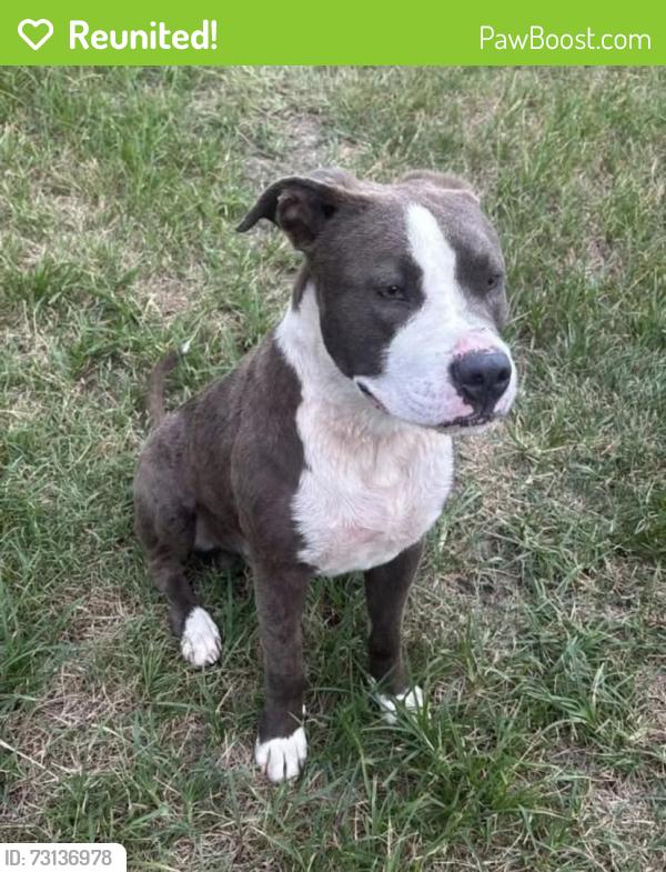 Reunited Male Dog last seen Near Quaker Rd (Hwy 80), Gibson, GA 30810