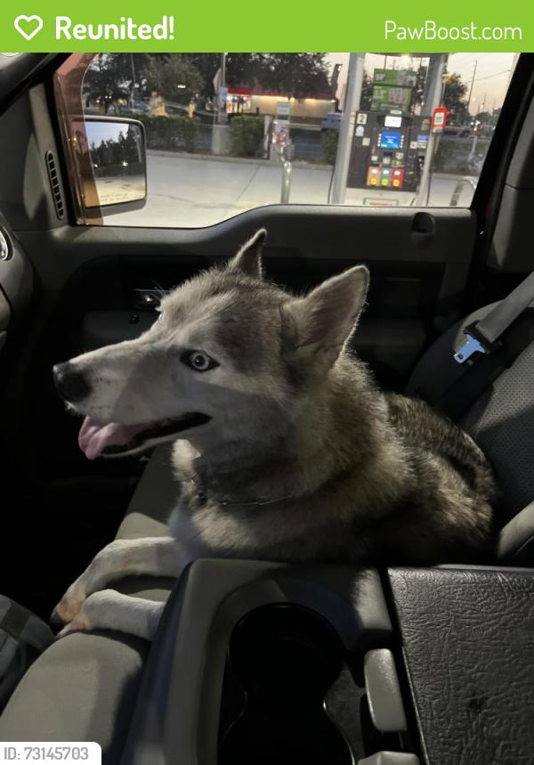 Reunited Male Dog last seen Lake county humane society, Lake County, FL 34737