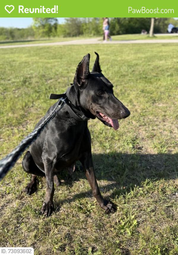 Reunited Male Dog last seen Near intersection S Barker Rd and W Greenfield Ave, New Berlin, WI 53146