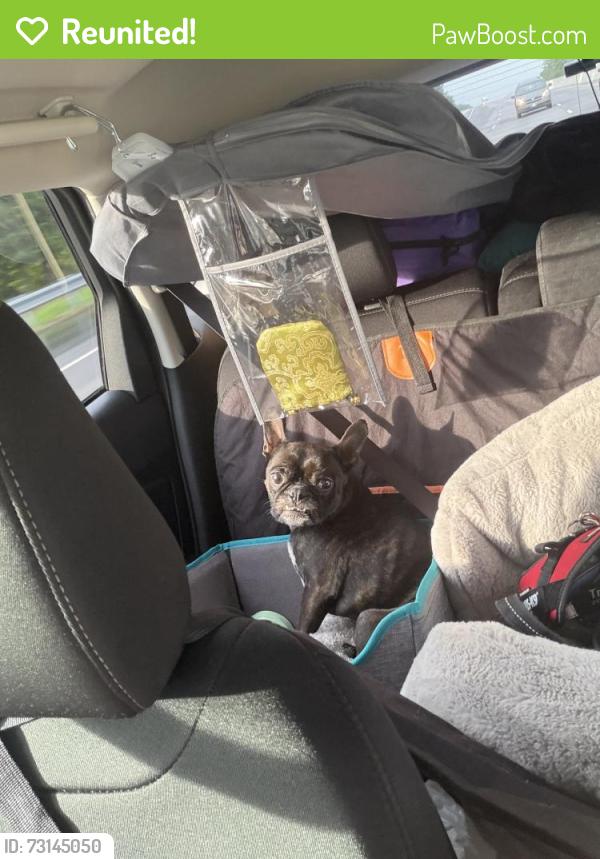 Reunited Male Dog last seen Near Cochise Dr, Acworth, GA 30102, USA, Acworth, GA 30102