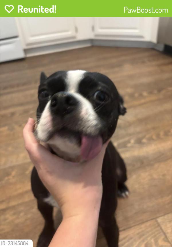 Reunited Female Dog last seen Near Lancaster ln, Newport News, VA 23602