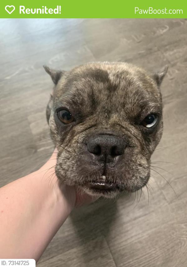 Reunited Unknown Dog last seen Port St Lucie, Port St. Lucie, FL 34986