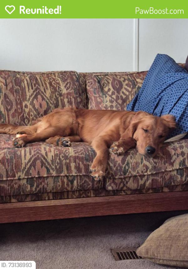 Reunited Female Dog last seen Roberts Rd & Ole Field Circle, Newport, NC 28570