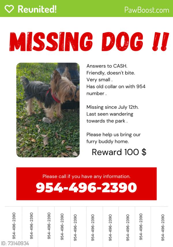 Reunited Male Dog last seen Riverland park, Fort Lauderdale, FL 33312