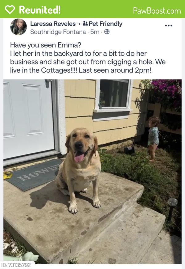 Reunited Female Dog last seen Cherry and Jurupa, Fontana, CA 92337