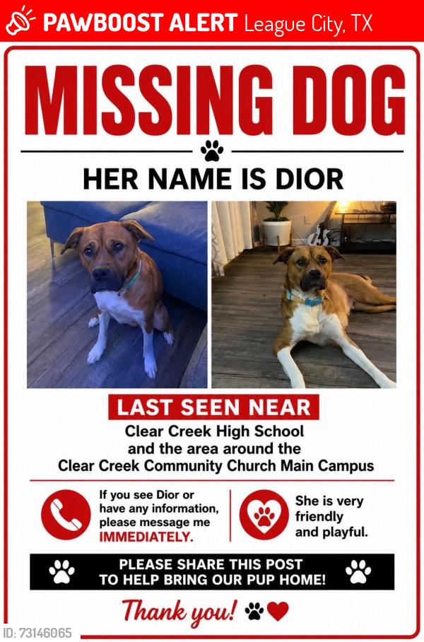 Lost Female Dog last seen Clear Creek Highschool, League City, TX 77573