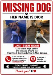 Lost Female Dog last seen Clear Creek Highschool, League City, TX 77573