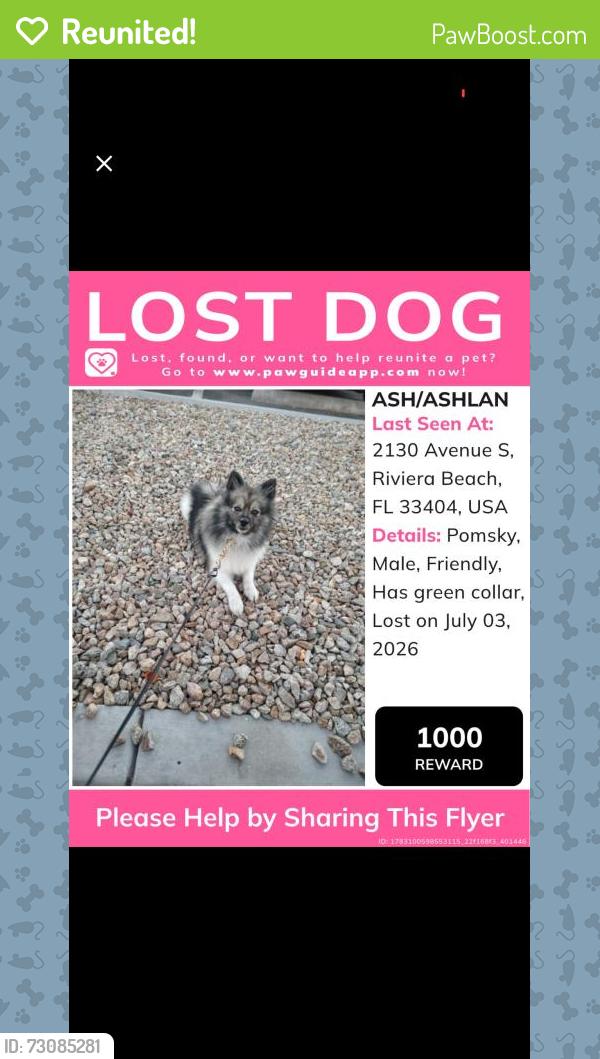 Reunited Male Dog last seen Near Avenue S, Riviera Beach, FL 33404, USA, Riviera Beach, FL 33404