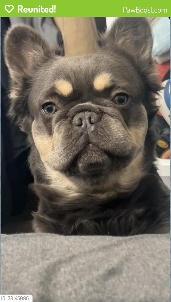 Reunited Male Dog last seen Lucchesi and Fortuna Pkwy, Clay, NY 13041
